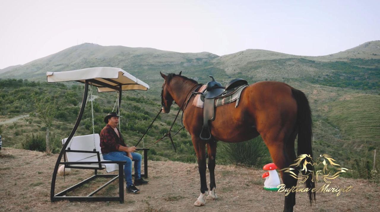 Bujtina E Muriqit * Zogaji