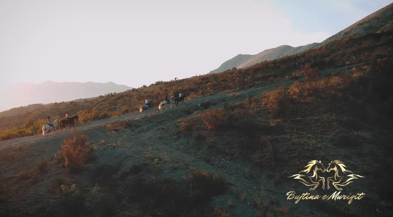 Bujtina E Muriqit Resort Zogaji