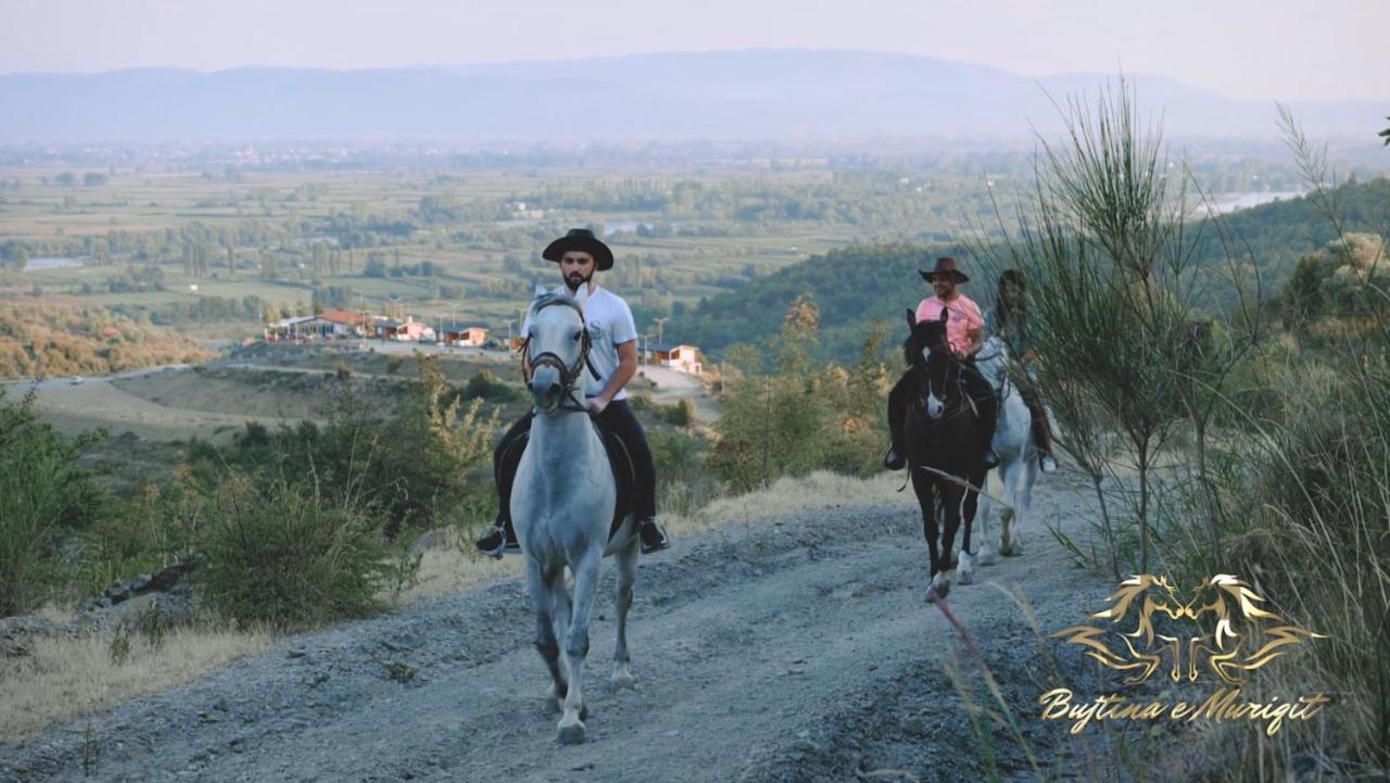 Bujtina E Muriqit